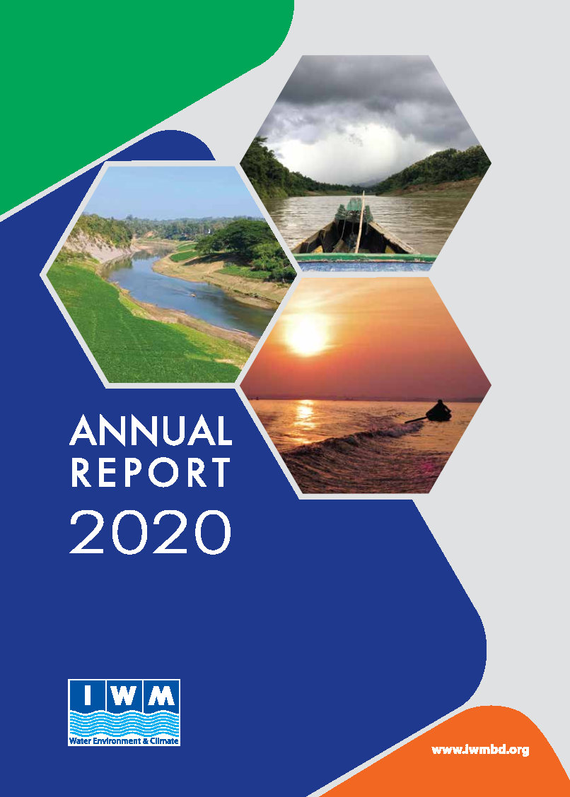 IWM Annual Report 2020