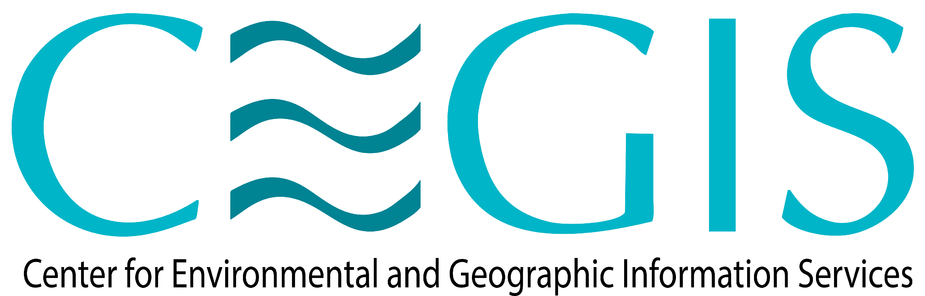 Center for Environmental and Geographic Information Services (CEGIS)